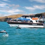 akaroa nature cruise