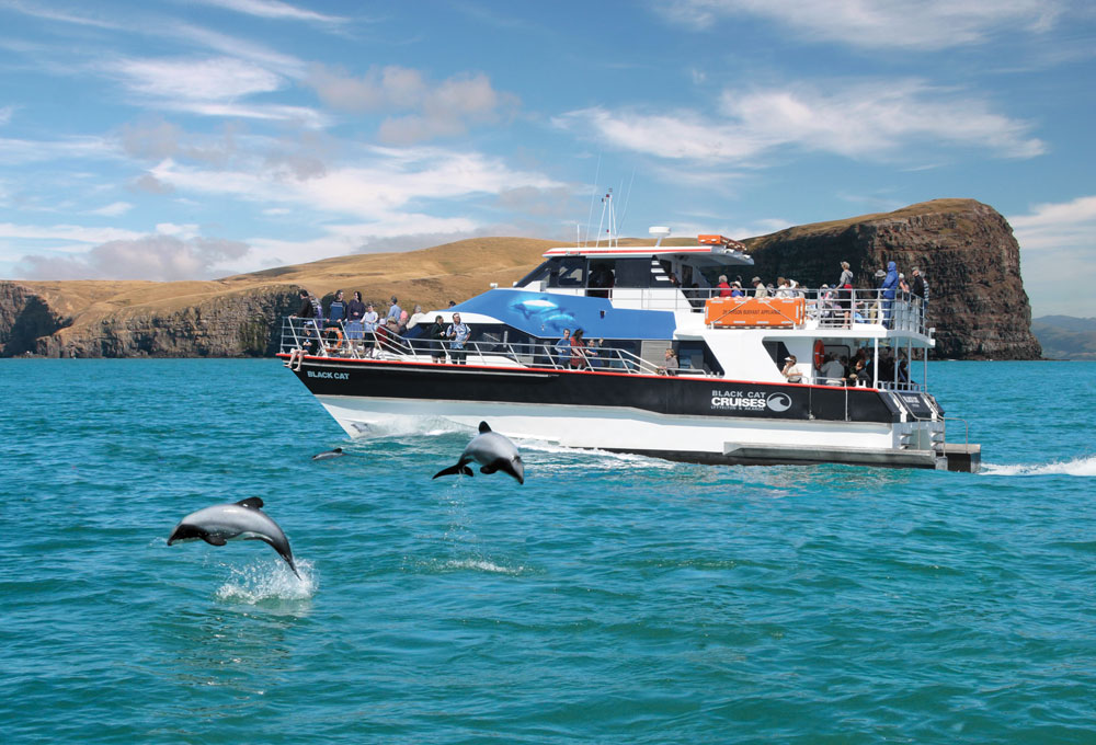 akaroa nature cruise